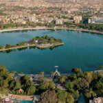 Consumer Reports Reveal…